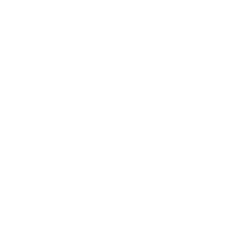 WhatsApp Link